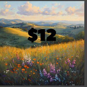 LISTING FOR LIVE SHOW! $12 Starts